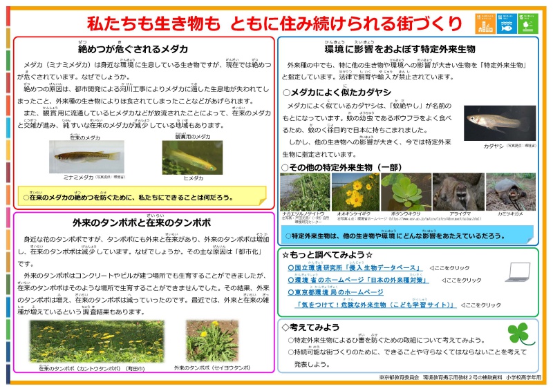 私たちも生き物もともに住み続けられる街づくり